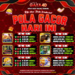 pola 3