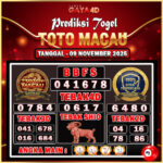 photo_2025-11-09_12-13-09